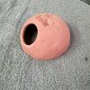 オリジナル産卵床 アピストタイプ1つの価格 - 画像 (2)
