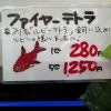 ファイヤーテトラ🔥　5匹セット！ - 画像 (3)