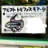 アピストトリファスキアータ 自家繁殖若魚ペア
今だけ特価！ - 画像 (4)