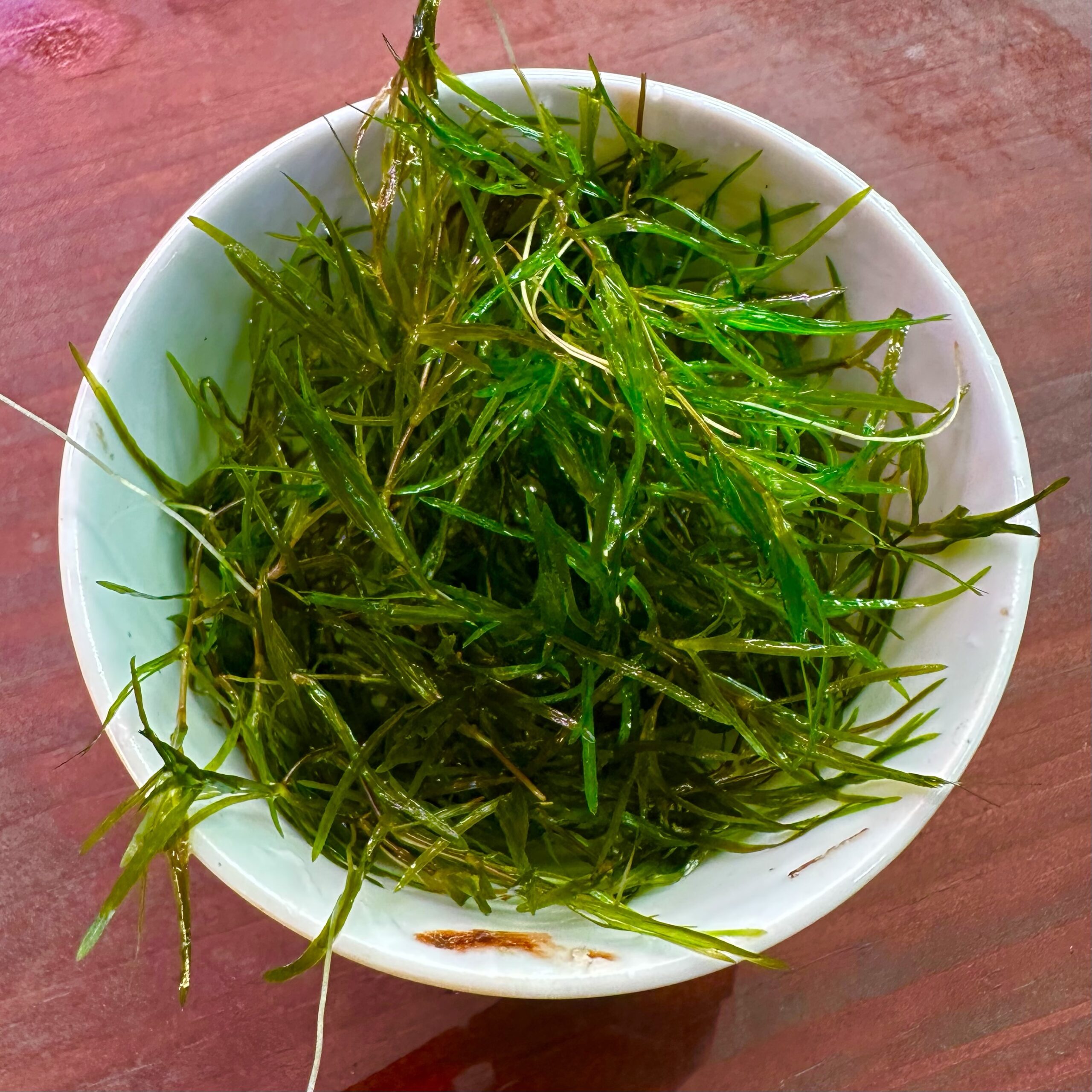 ナヤス(茶碗一杯分) - 画像 (3)