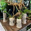 ベタ用シェルター　魚と同梱可能！ - 画像 (2)