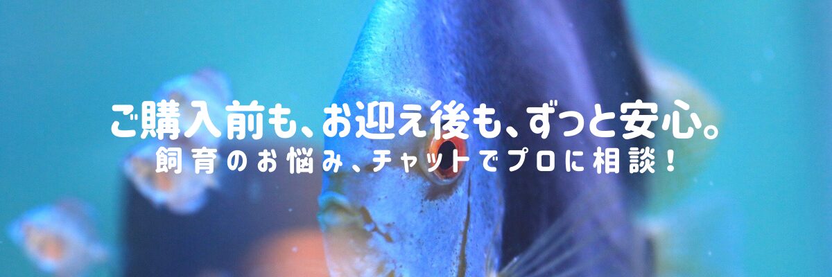 お迎え後もずっと安心