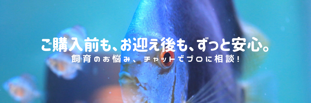 お迎え後もずっと安心